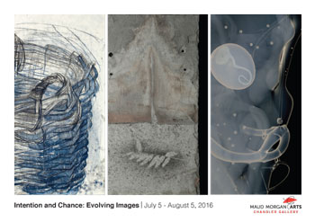 Intention and Chance: Evolving Images by Constance Jacobson, Eleanor Rubin, and Susan Schmidt