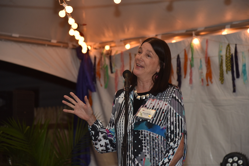 Diane Norris speaking about her experiences at the CAC and MMA