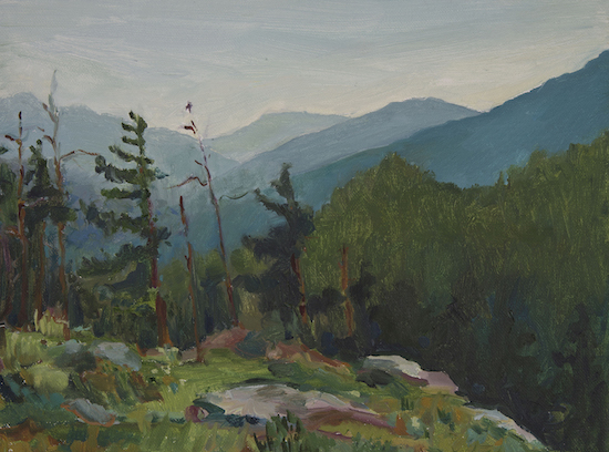 Hidden Order: Adirondack Paintings by Susan Sherman